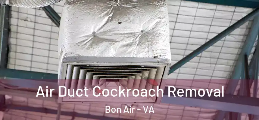  Air Duct Cockroach Removal Bon Air - VA