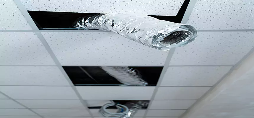 Affordable HVAC Sanitizing After Pest Removal in Bon Air