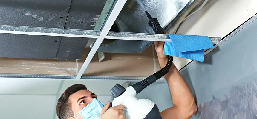Our Air Duct Rodent Removal Services in Bon Air, VA