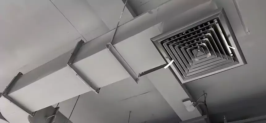 Restorative Allergy Relief Vent Cleaning – Coil, Blower & Housing Detail in Bon Air