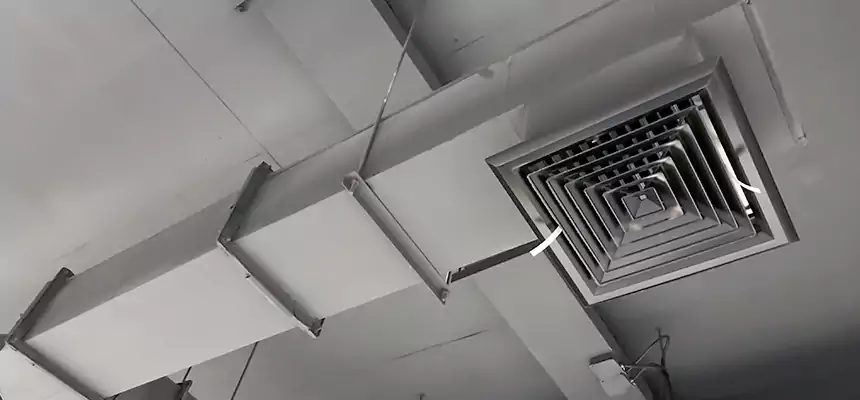 Our Rodent Droppings In Vents Services in Bon Air, VA