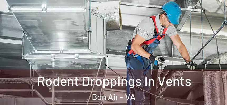  Rodent Droppings In Vents Bon Air - VA