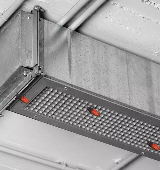 Affordable Insect Removal from Air Ducts in Bon Air, VA