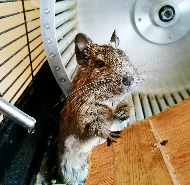 Why Homeowners & Businesses Trust Us Bon Air, VA