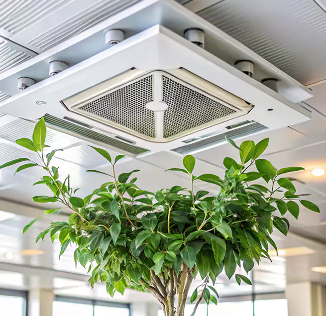 Why Homeowners & Businesses Trust Us in Bon Air, VA?