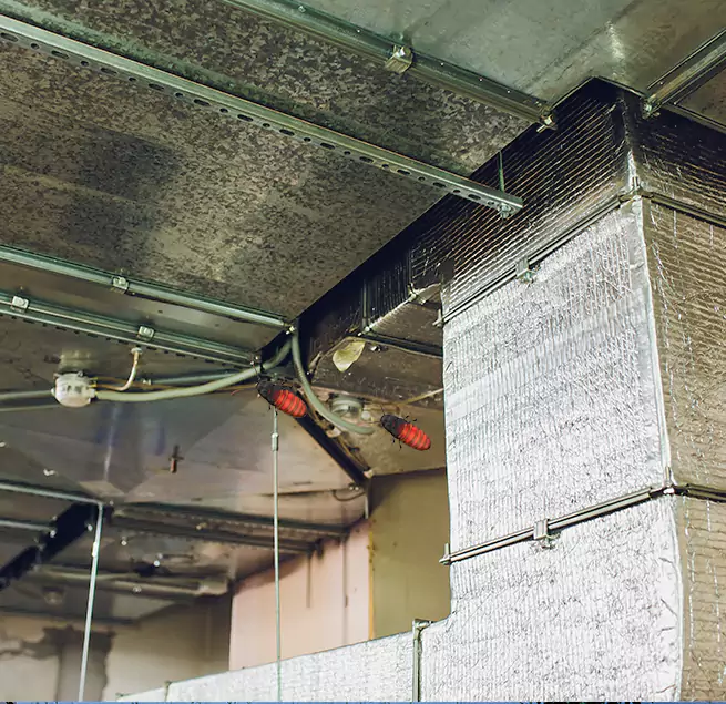 Why Homeowners & Businesses Trust Us Bon Air, VA?