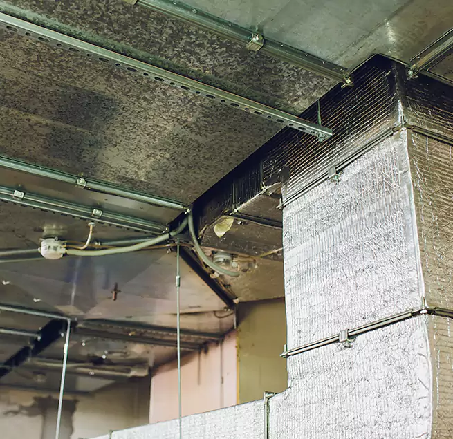 Why Homeowners & Businesses Trust Us in Bon Air, VA?